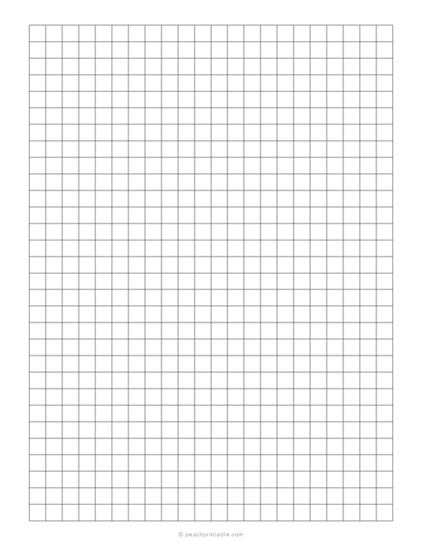 13 inch grid plain graph paper free printable graph papers