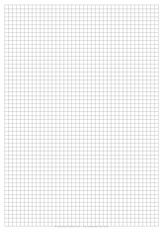 1 5 Inch Grid Plain Graph Paper On