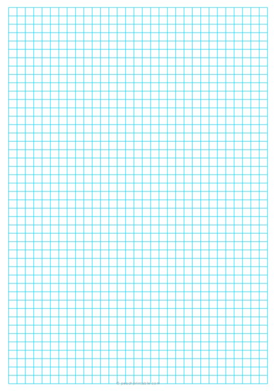 1/4 Graph Paper (A4 Size) - Blue