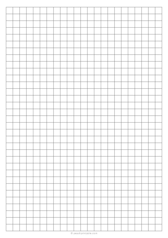 1/3 Plain Graph Paper (A4 Size)