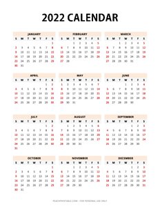 Printable 2022 Yearly Calendar (Portrait)