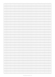 0.5 x 1 cm Asymmetric Graph Paper - (A4)