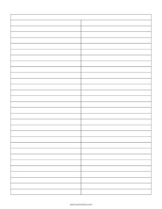 Lined Notes - 2 Columns