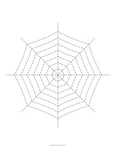 Sashiko Spider Web Pattern