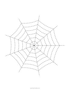 Sashiko Spider Web Pattern - 5
