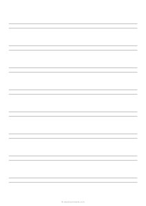 1 Double Lined Paper (A4)