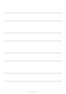 1 Double Lined Paper (A4)